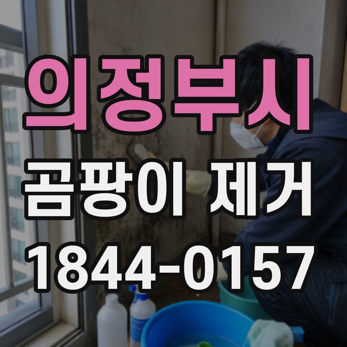 의정부시 곰팡이 제거