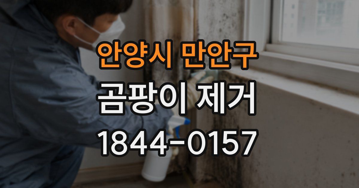 안양시 만안구 곰팡이 제거
