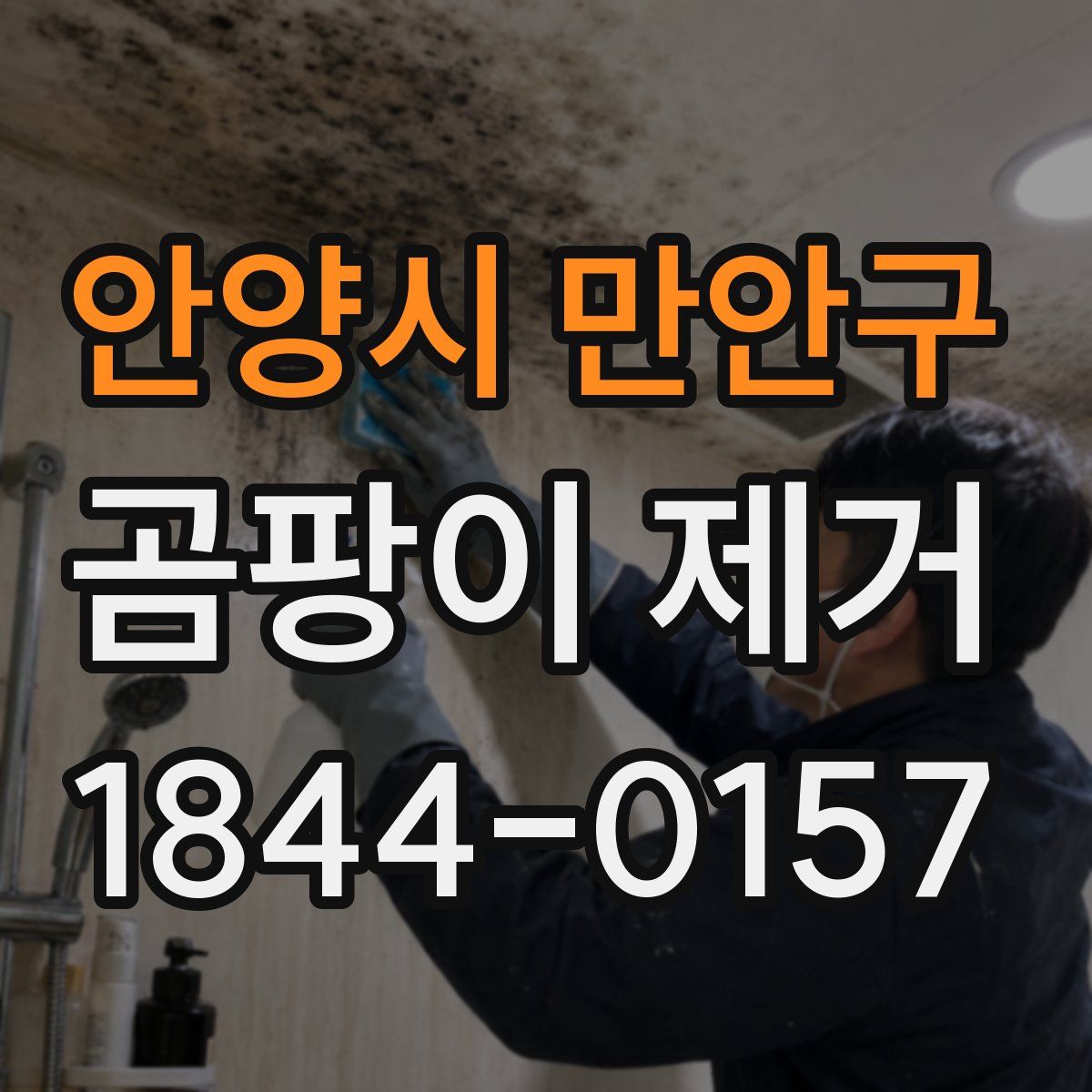 안양시 만안구 곰팡이 제거