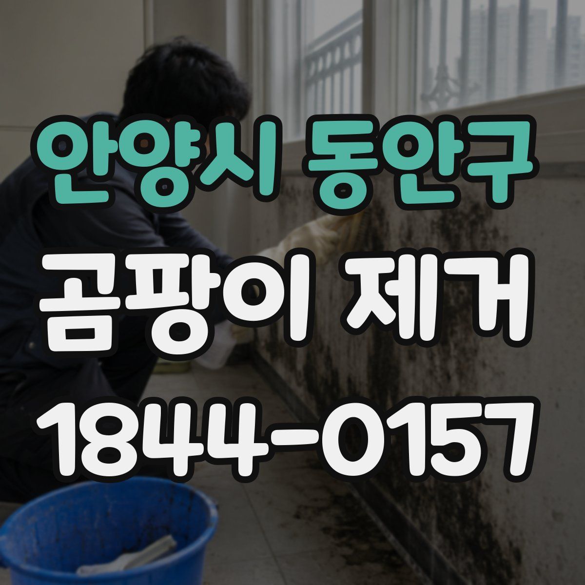 안양시 동안구 곰팡이 제거