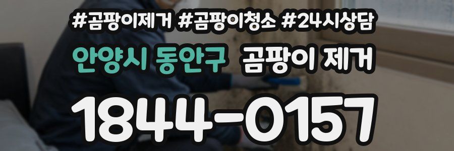 안양시 동안구 곰팡이 제거