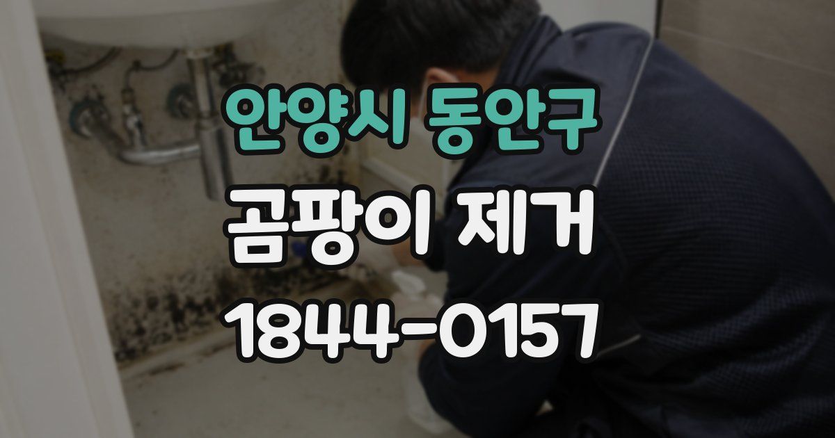 안양시 동안구 곰팡이 제거