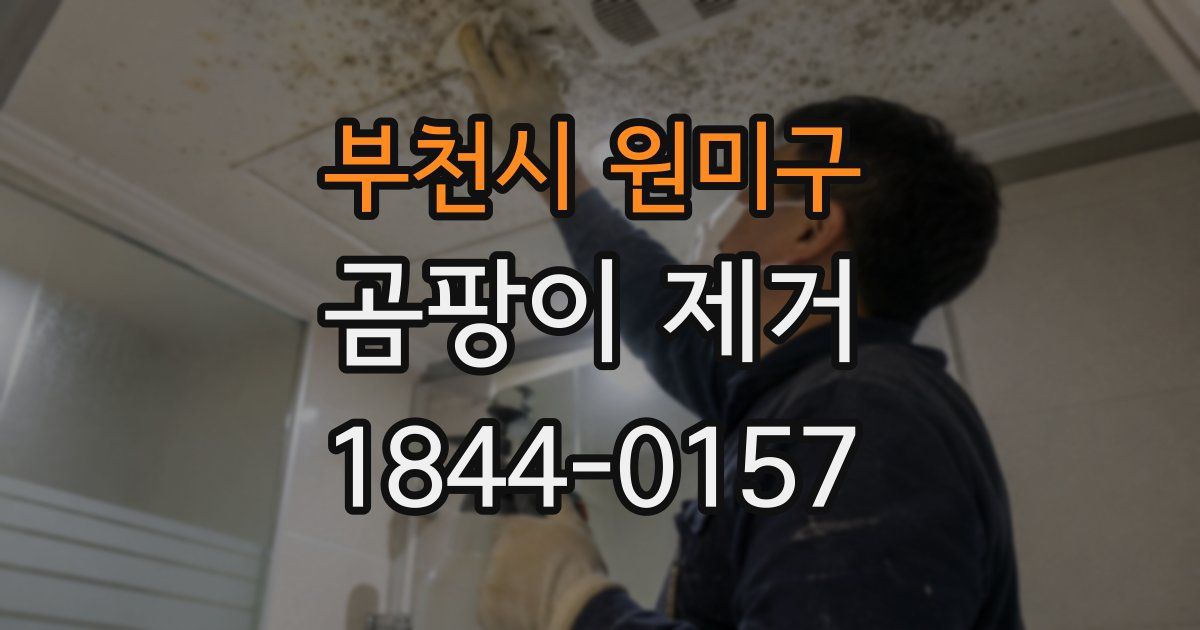 부천시 원미구 곰팡이 제거
