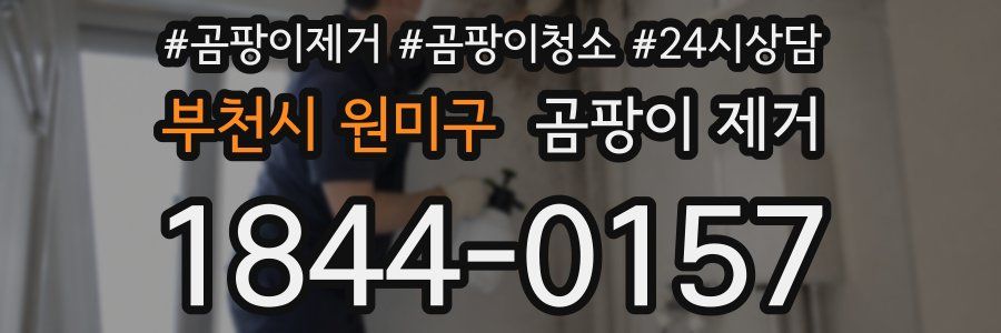 부천시 원미구 곰팡이 제거