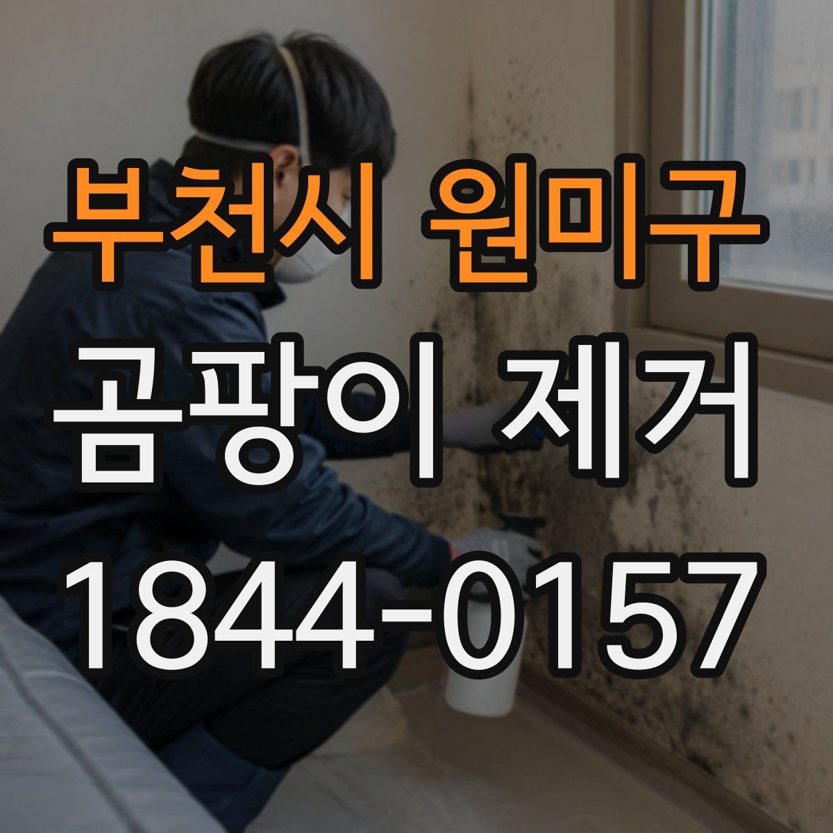 부천시 원미구 곰팡이 제거