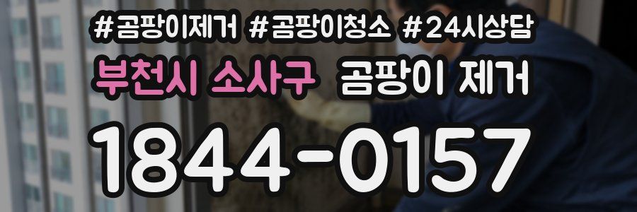 부천시 소사구 곰팡이 제거