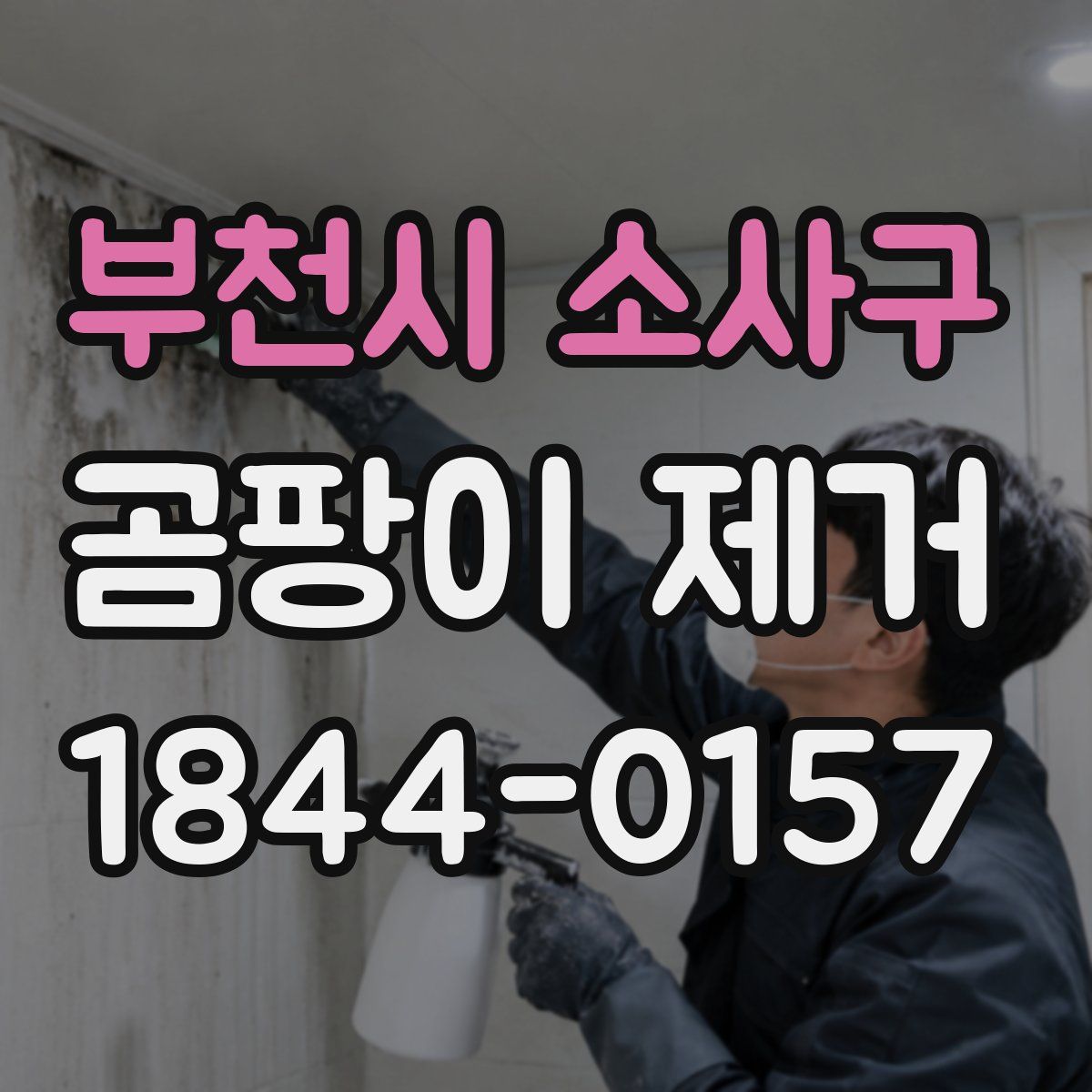 부천시 소사구 곰팡이 제거
