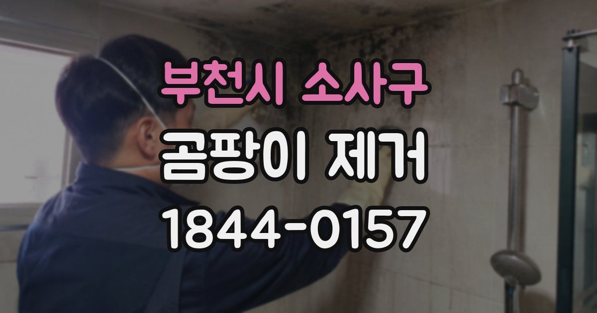 부천시 소사구 곰팡이 제거