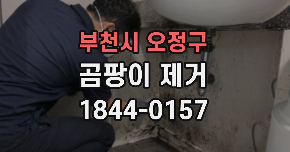 부천시 오정구 곰팡이 제거