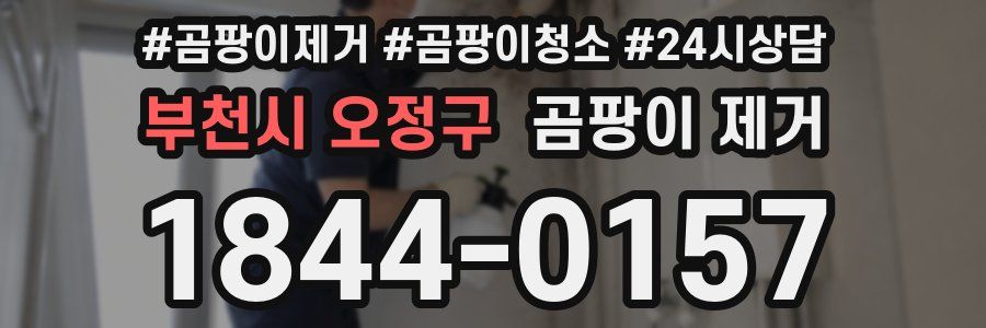 부천시 오정구 곰팡이 제거