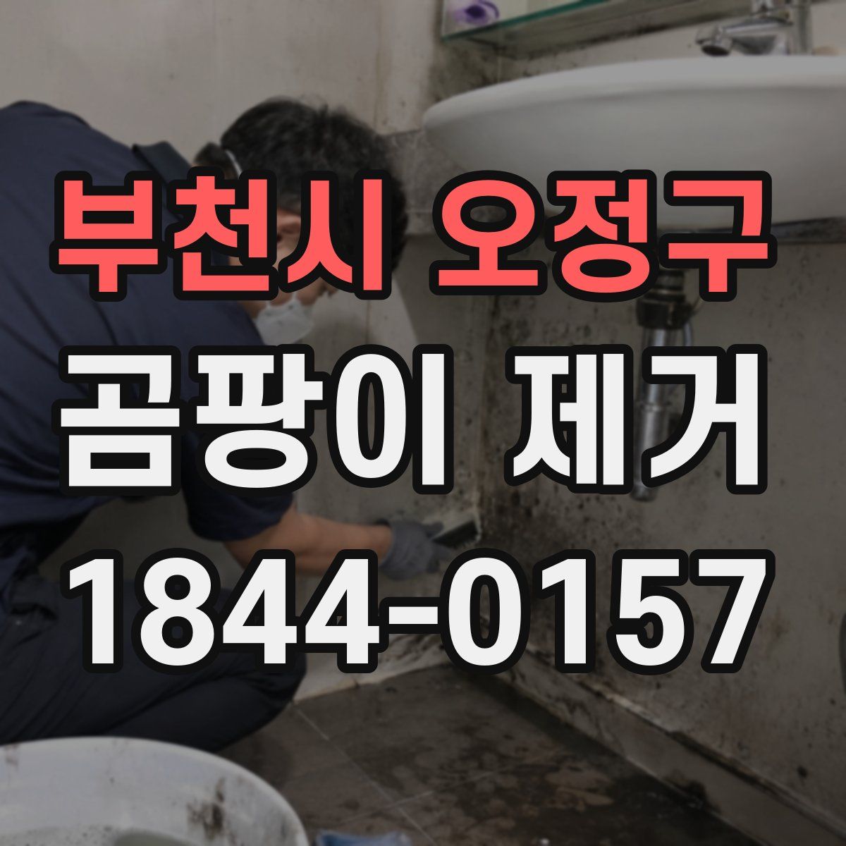 부천시 오정구 곰팡이 제거