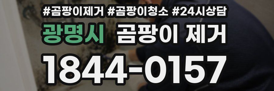 광명시 곰팡이 제거