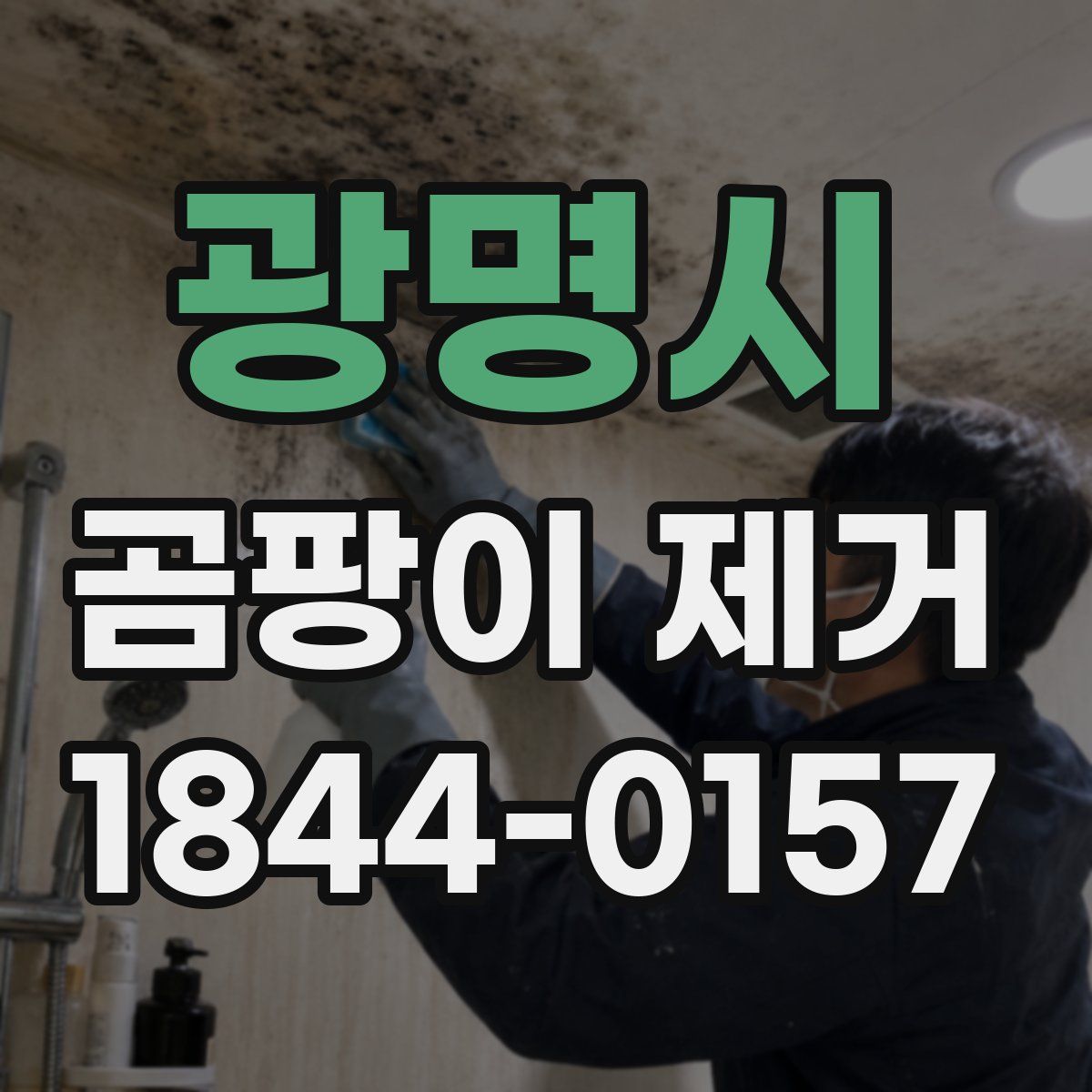 광명시 곰팡이 제거