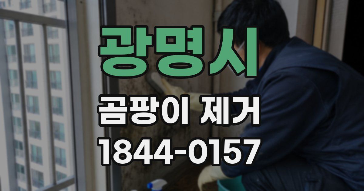 광명시 곰팡이 제거