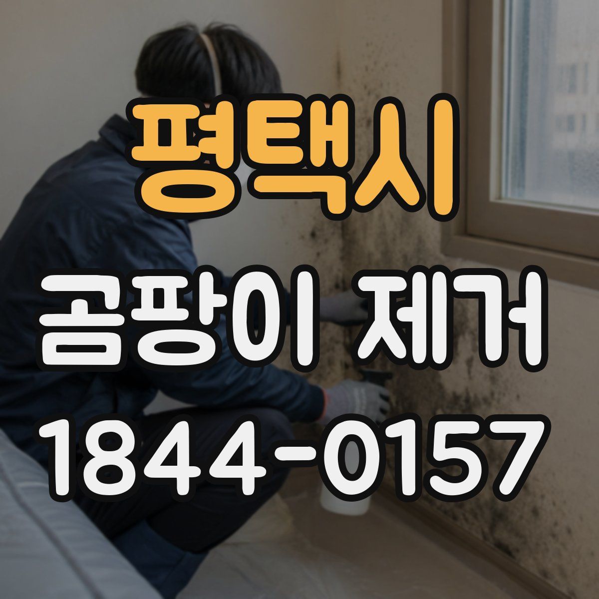 평택시 곰팡이 제거