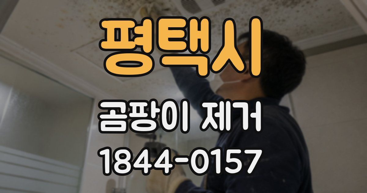 평택시 곰팡이 제거