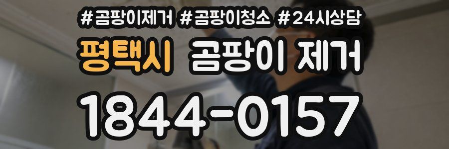 평택시 곰팡이 제거