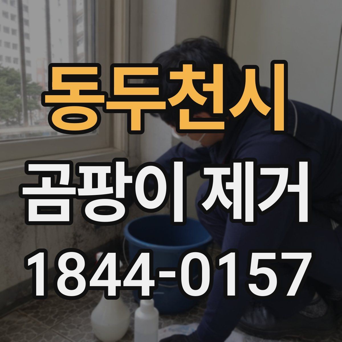 동두천시 곰팡이 제거 원룸 주거 환경에 맞는 재발 예방