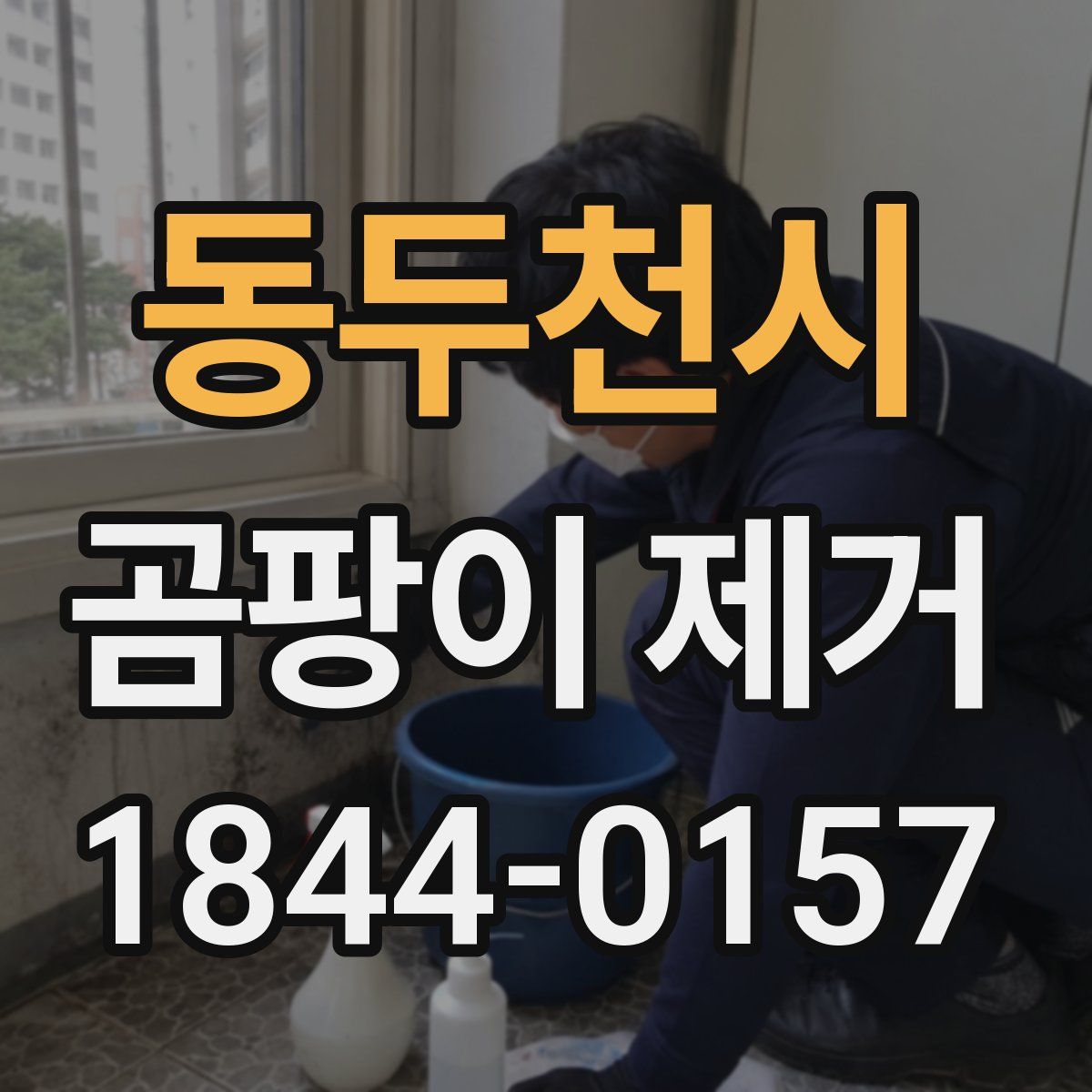 동두천시 곰팡이 제거