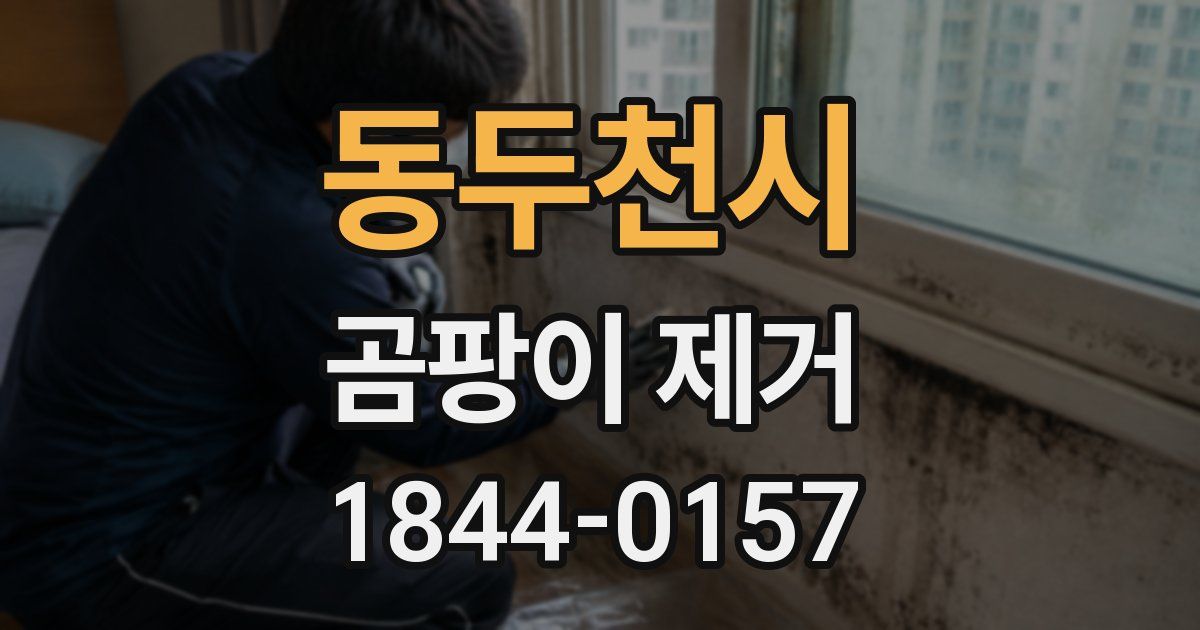 동두천시 곰팡이 제거