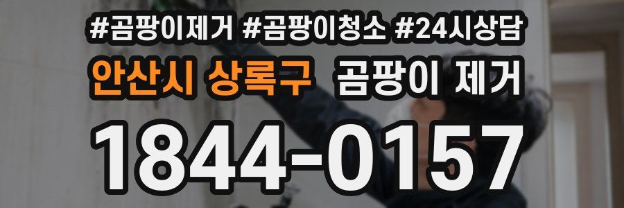 안산시 상록구 곰팡이 제거