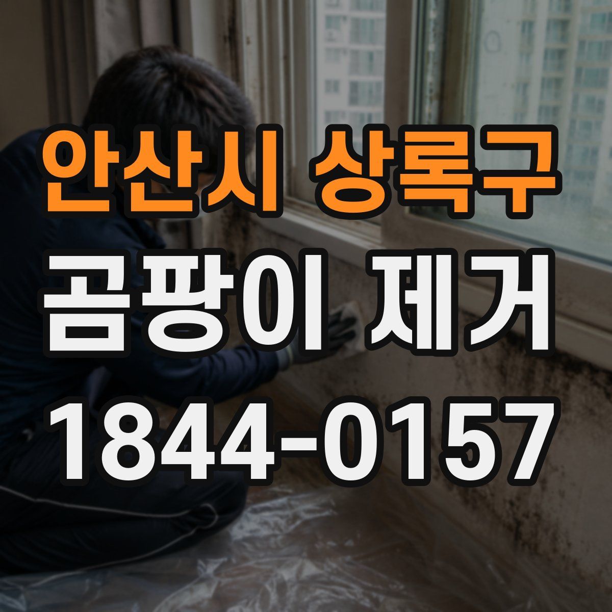 안산시 상록구 곰팡이 제거