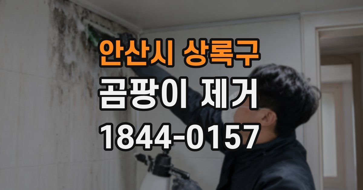 안산시 상록구 곰팡이 제거