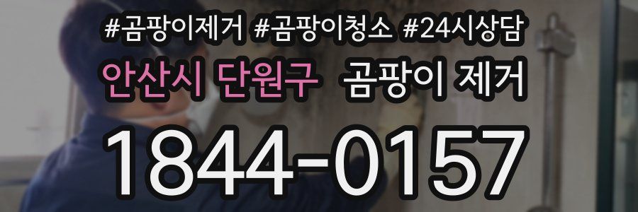 안산시 단원구 곰팡이 제거