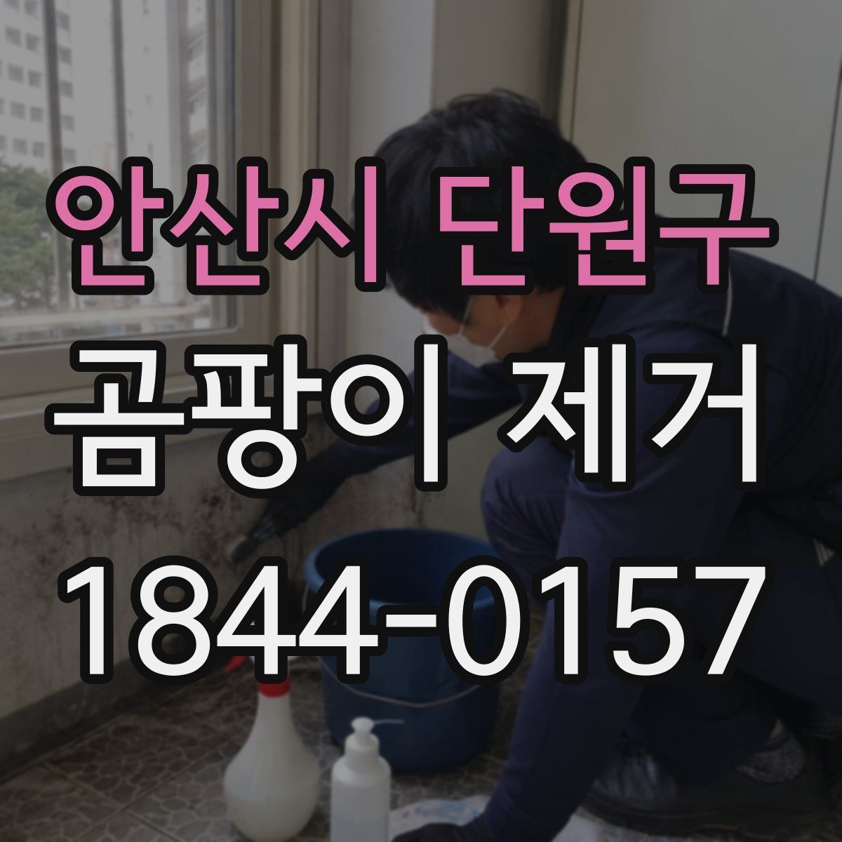 안산시 단원구 곰팡이 제거