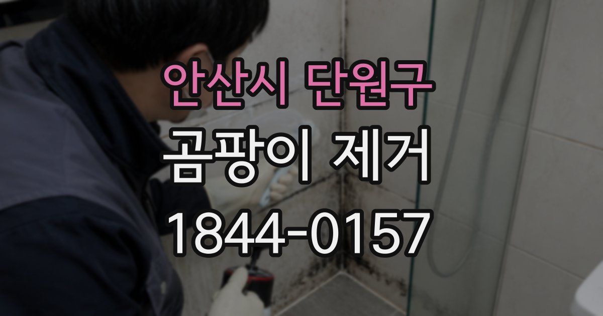 안산시 단원구 곰팡이 제거