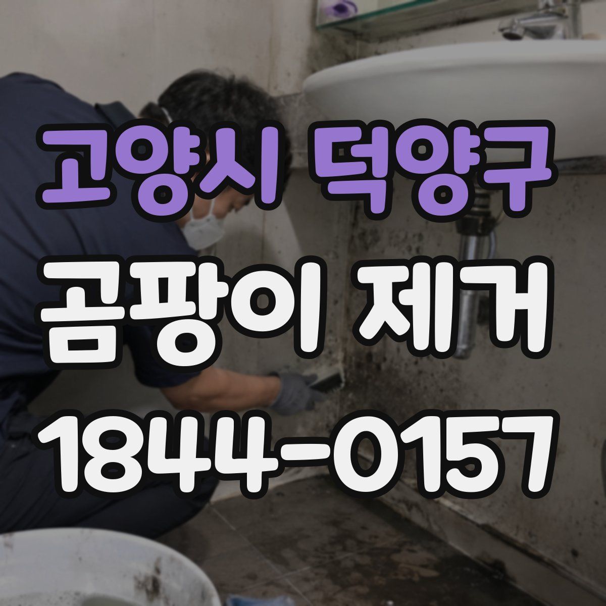 고양시 덕양구 곰팡이 제거