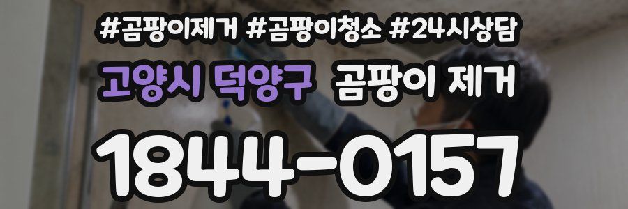 고양시 덕양구 곰팡이 제거