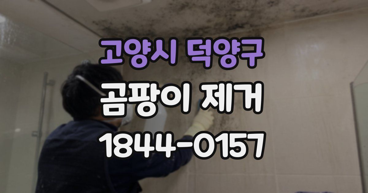 고양시 덕양구 곰팡이 제거