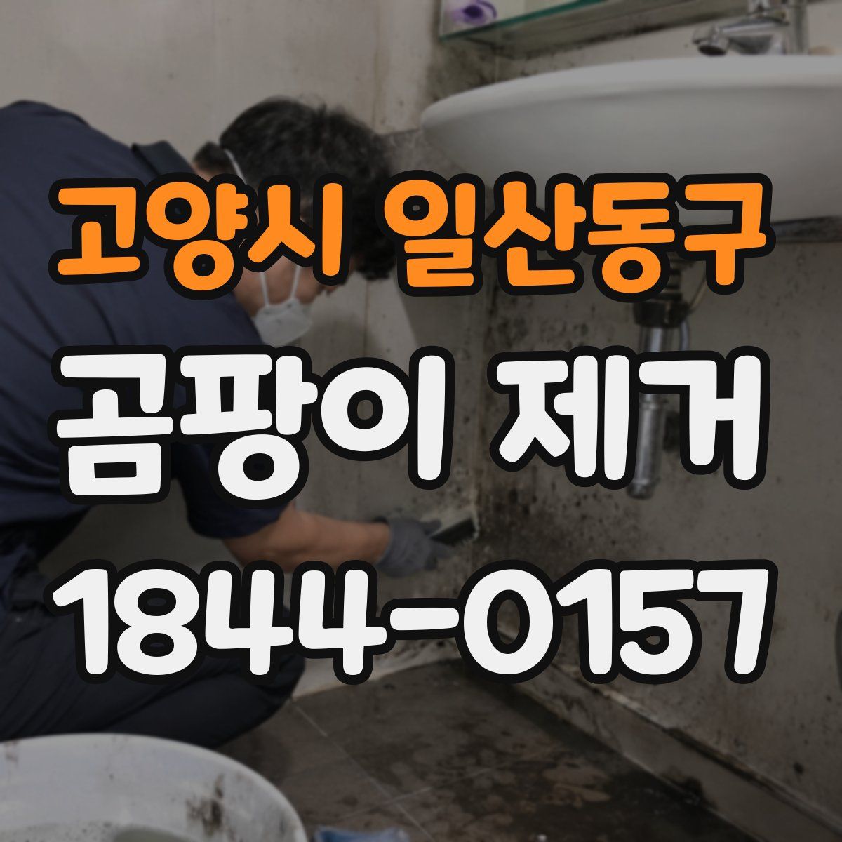 고양시 일산동구 곰팡이 제거