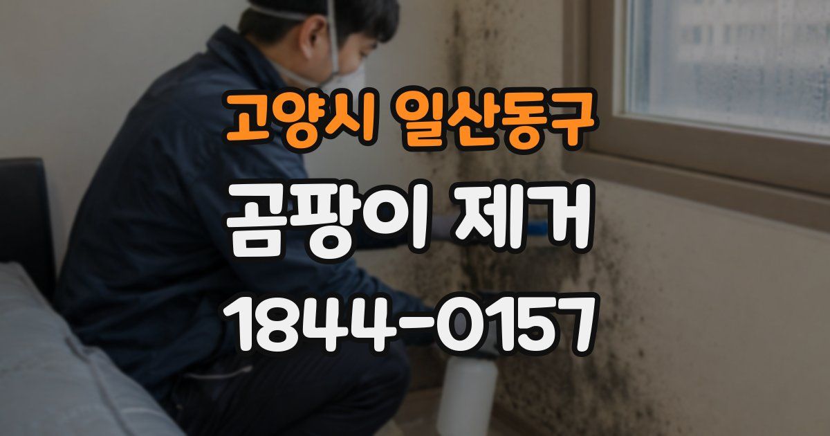 고양시 일산동구 곰팡이 제거