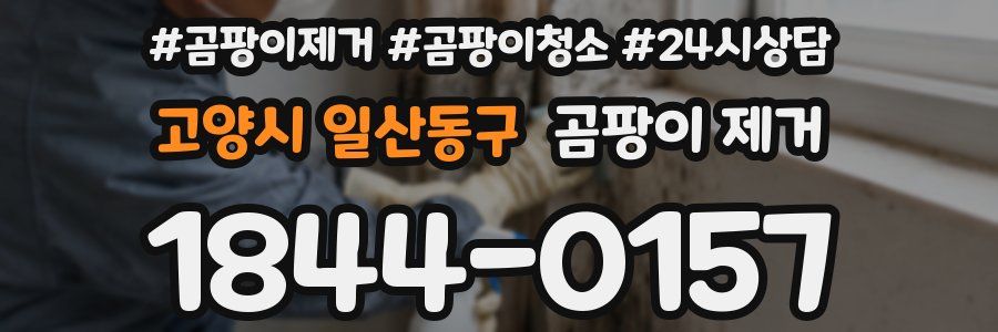 고양시 일산동구 곰팡이 제거