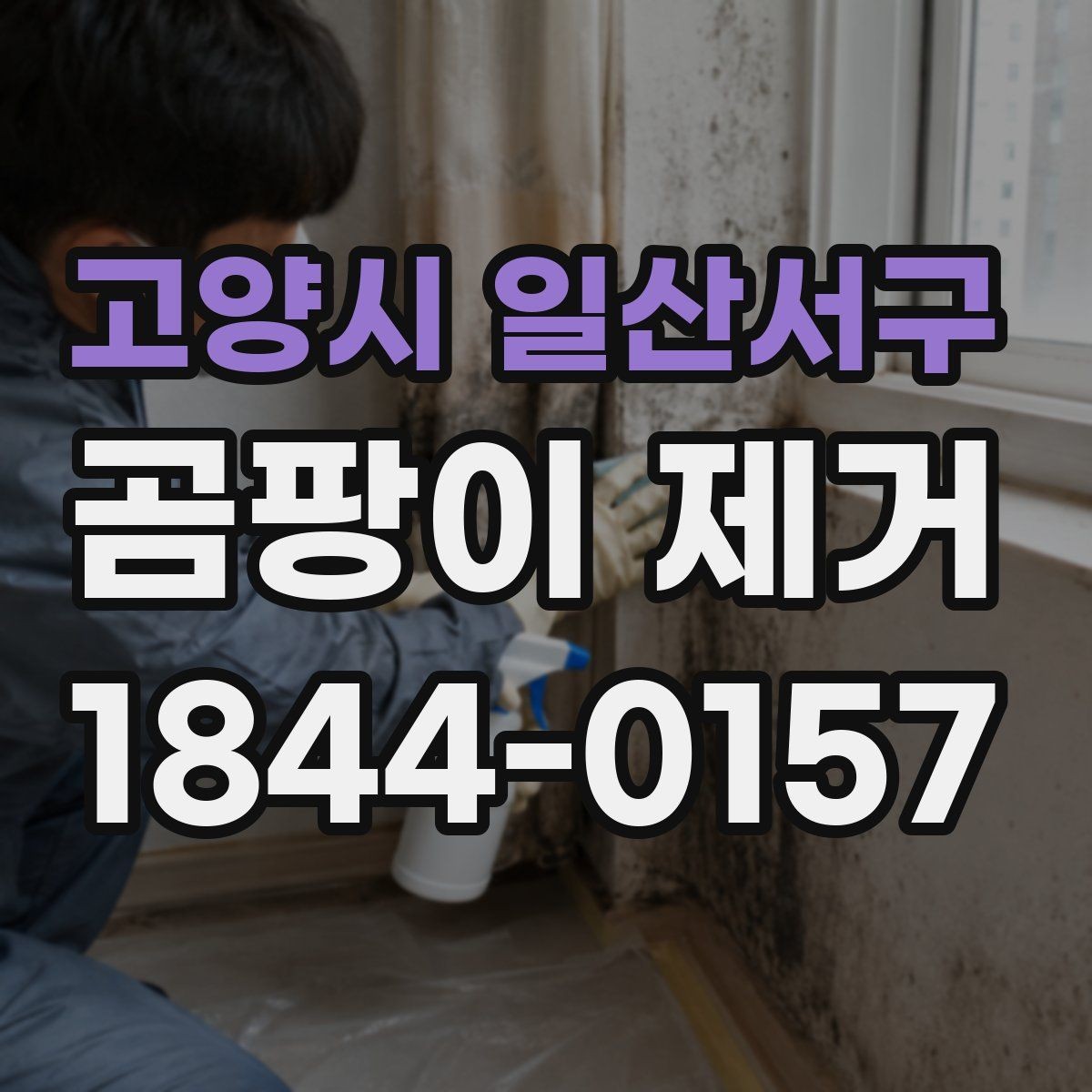 고양시 일산서구 곰팡이 제거 흔적이 남는 이유부터 살펴보기