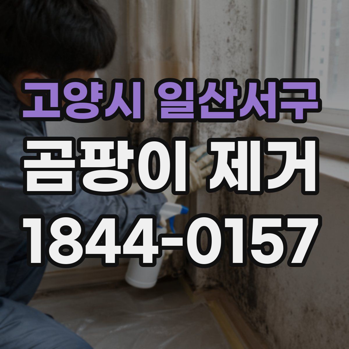 고양시 일산서구 곰팡이 제거