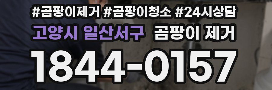 고양시 일산서구 곰팡이 제거