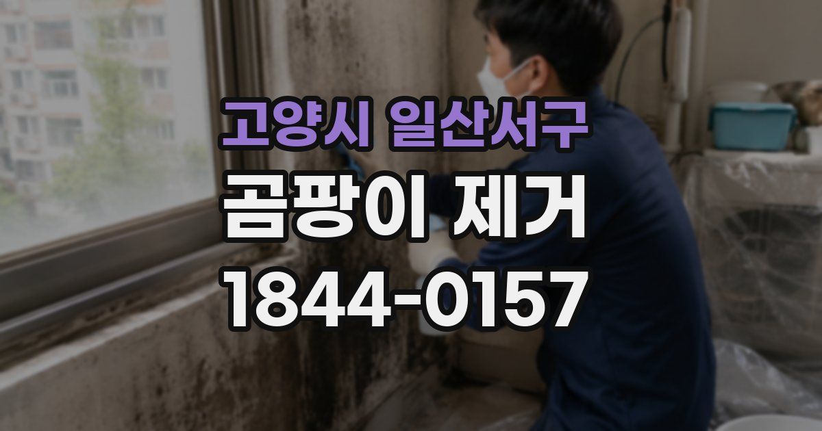 고양시 일산서구 곰팡이 제거