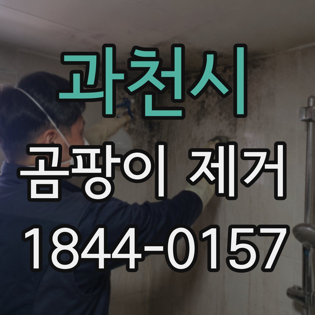 과천시 곰팡이 제거