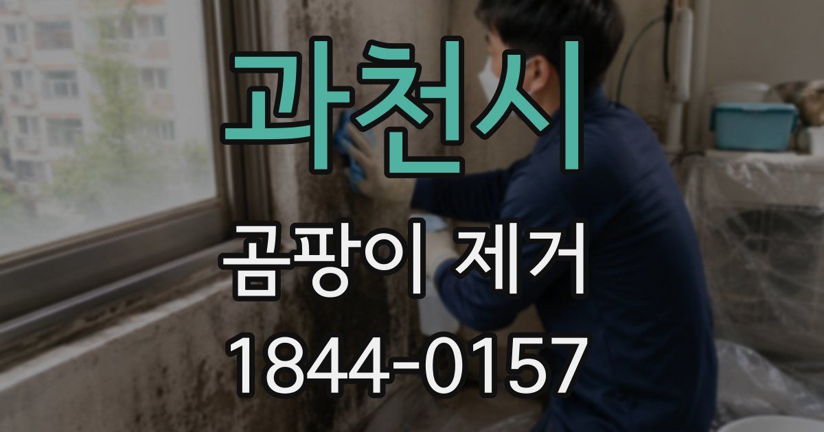 과천시 곰팡이 제거