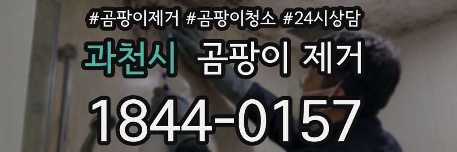 과천시 곰팡이 제거