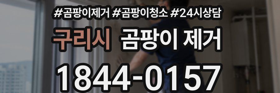 구리시 곰팡이 제거