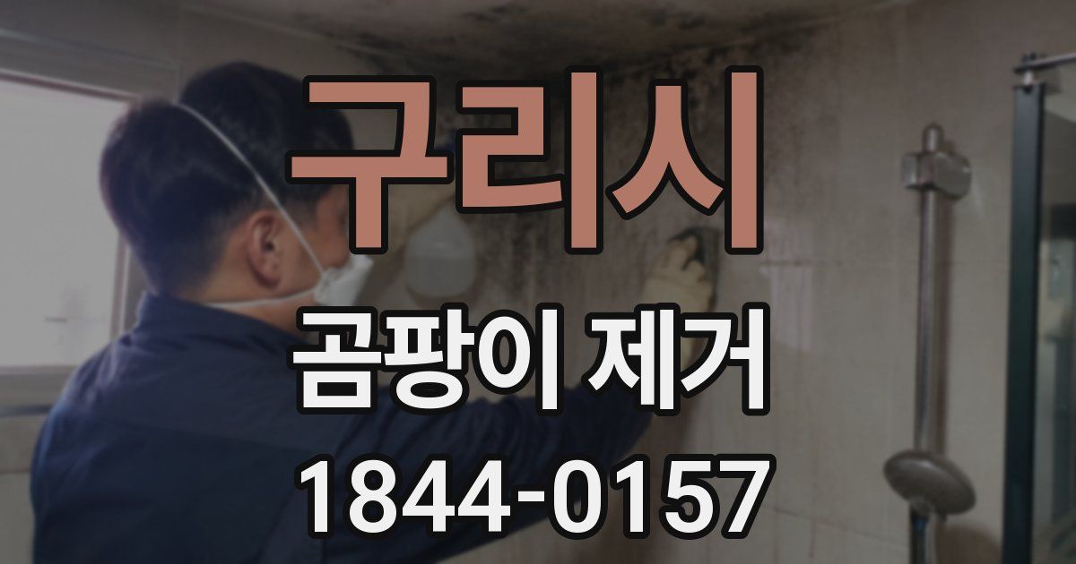 구리시 곰팡이 제거