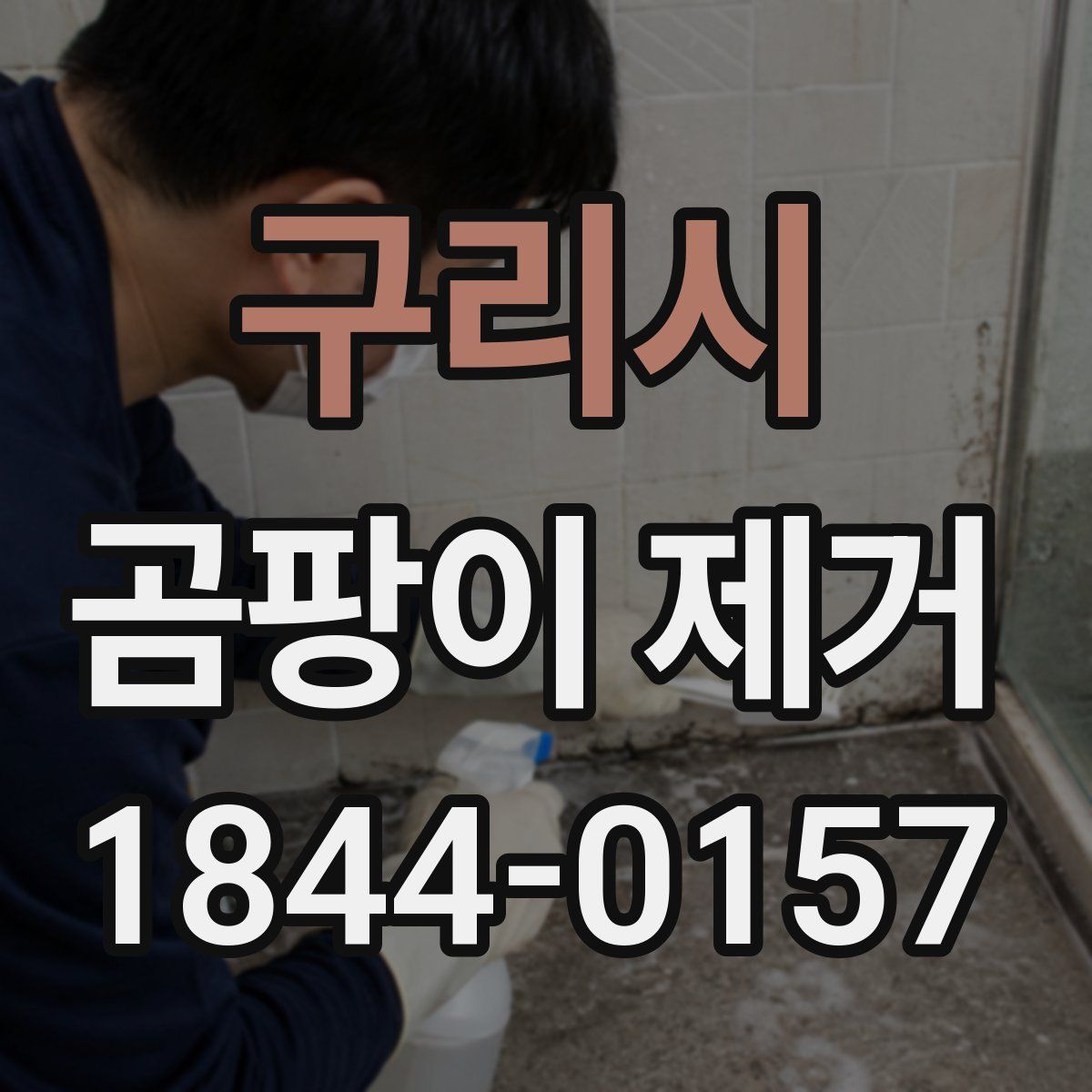 구리시 곰팡이 제거