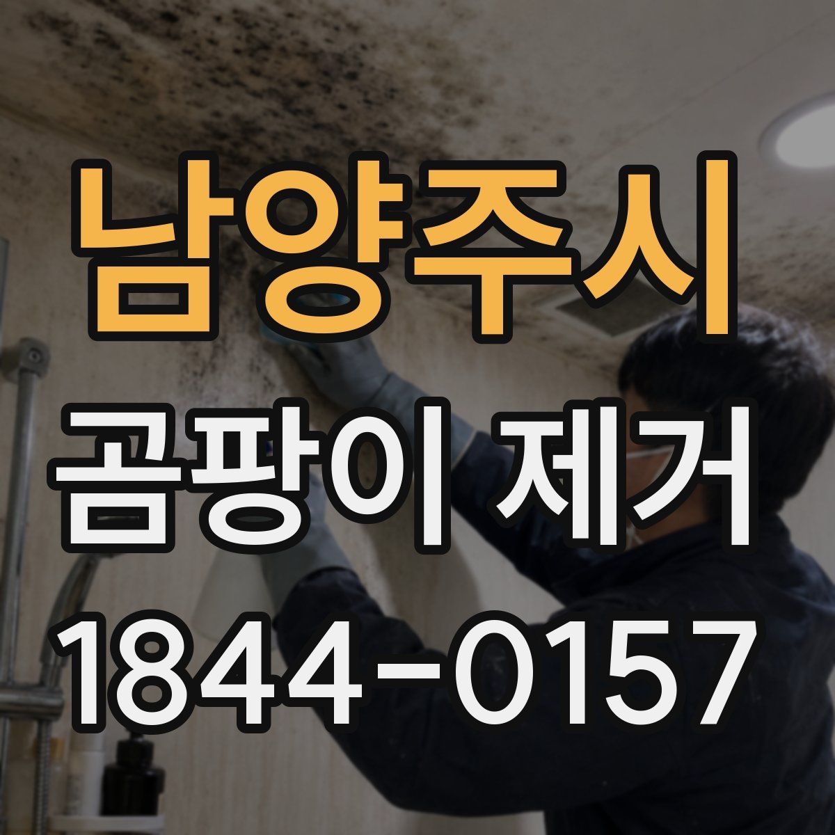 남양주시 곰팡이 제거