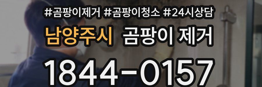 남양주시 곰팡이 제거
