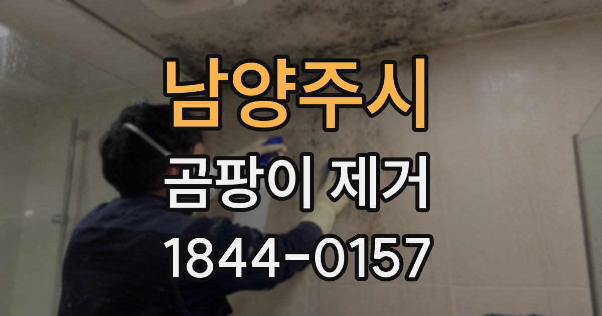 남양주시 곰팡이 제거