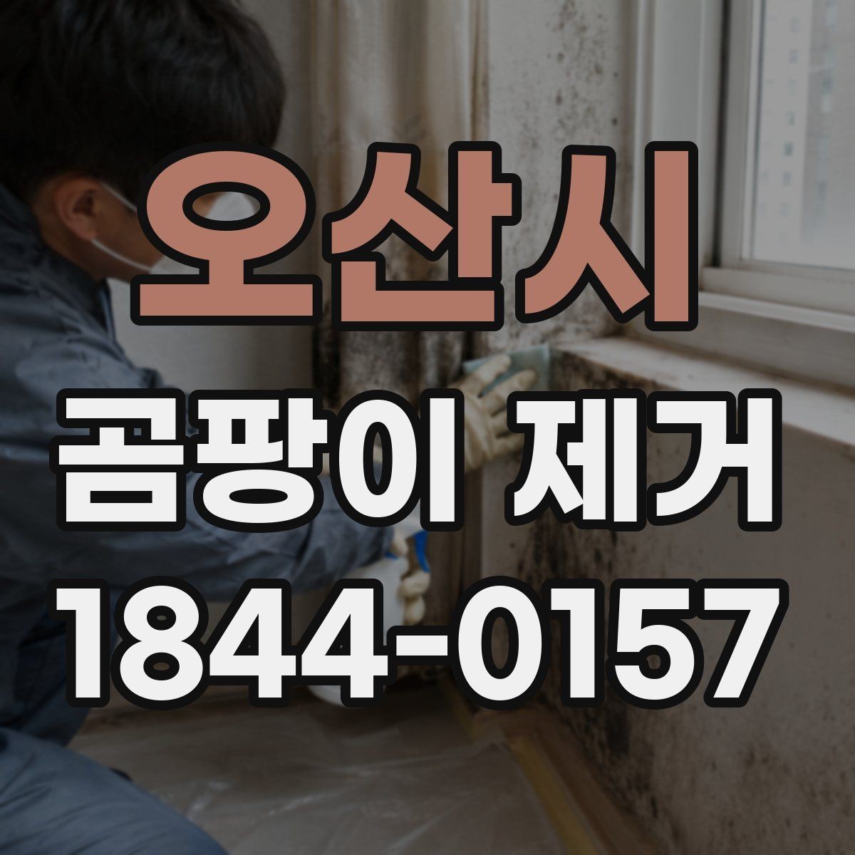 오산시 곰팡이 제거 수납장 안쪽까지 살펴야 하는 까닭